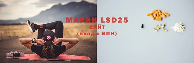 ГАЛЛЮЦИНОГЕННЫЕ ГРИБЫ Богородицк