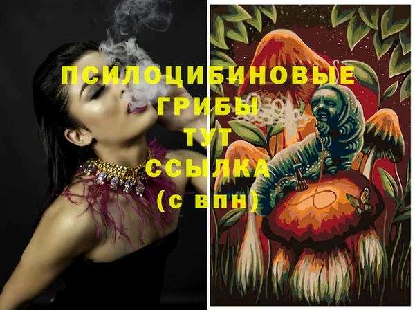 ГАЛЛЮЦИНОГЕННЫЕ ГРИБЫ Богородицк