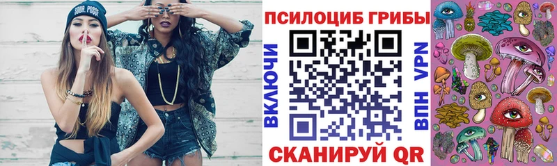 блэк спрут рабочий сайт  как найти закладки  Шацк  Галлюциногенные грибы прущие грибы 